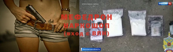 сатива Белокуриха