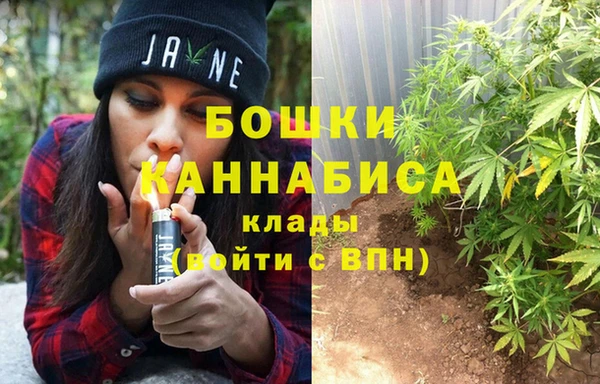 PSILOCYBIN Белоозёрский