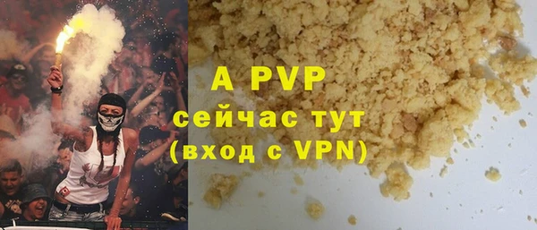 спайс Богданович