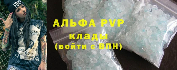 сатива Белокуриха