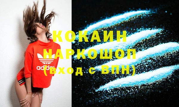 сатива Белокуриха